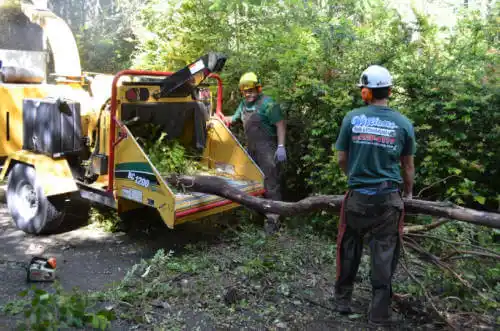 tree services San Pasqual